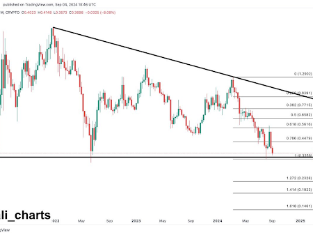 Key Support Levels for Polygon and Solana Face: Will They Hold or Fall?