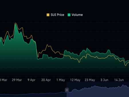 SUI Price Update: Derivatives Market Shows Bearish Sentiment