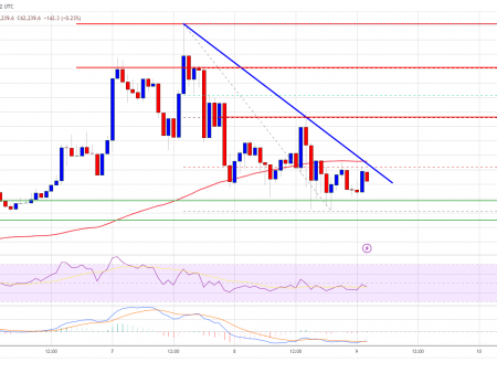 Bitcoin Price Pauses, New Growth Expected: Can the Bulls Succeed?