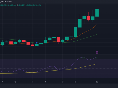 Top 3 altcoins: BONK, Fantom and Sui lead the cryptocurrency rally