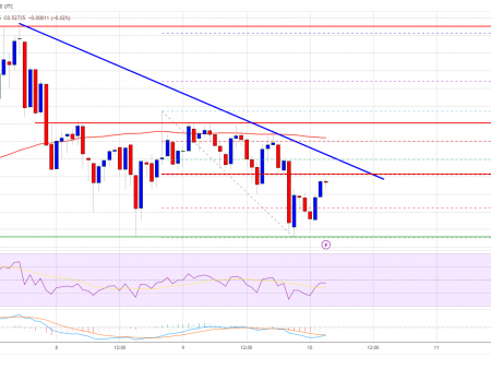 XRP Price Slows: Will Bears Take Over or Will Bulls Fight Back?