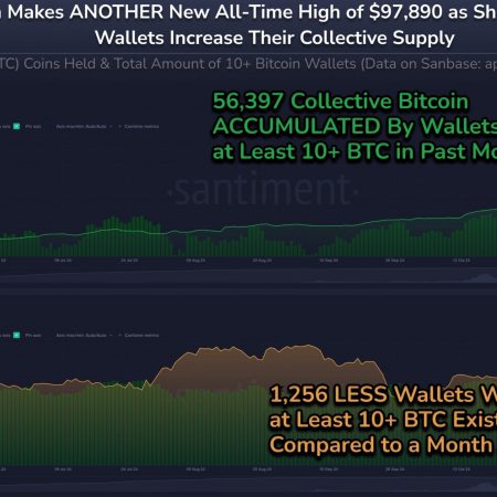 Bitcoin approaches $100,000 after hitting new highs, whales and long-term holders drive gains