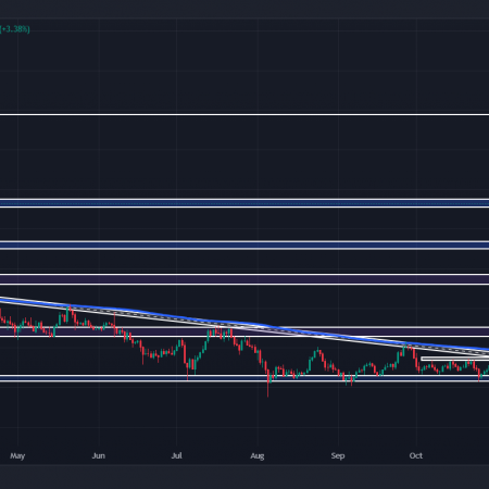 Cardano price will be $1, will consolidation lead to ADA growth by 30%?