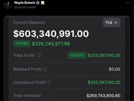 El Salvador continues to buy 1 Bitcoin per day. How much profit is Nayib Bukele sitting on?