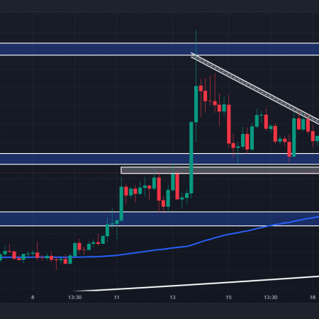 Here’s Why Dogwifhat (WIF) Price Is Poised for a New High