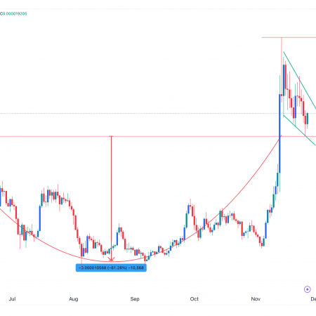 Pepe coin price could rise by 45% due to drop in exchange volume – Nansen