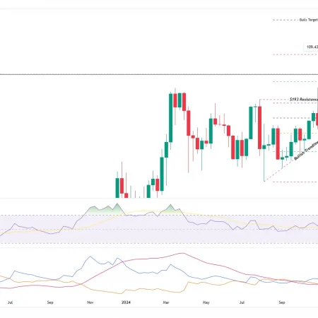 SOL Bulls in Focus: Crucial week ahead?