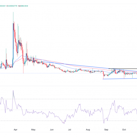 Safemoon price suddenly wakes up; Will the profit continue?