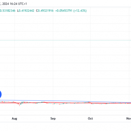 Stellar (XLM) Shares Soar 16% in Epic Price Recovery: Details