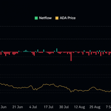 $164M Cardano (ADA) Outflow, Buying Opportunity?