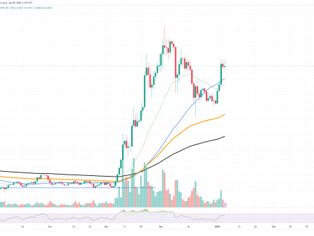 A huge purchase of Cardano (ADA) is happening right now