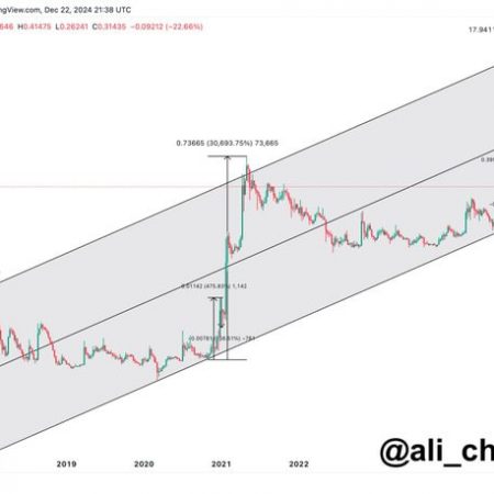 Another parabolic Dogecoin (DOGE) rally is on the way, says expert