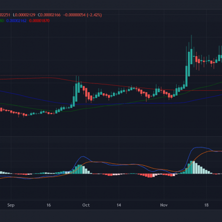 BIG Shiba Inu Price Forecast: Will SHIB Drop To 0 Soon Or Will There Be A NEW ATH?