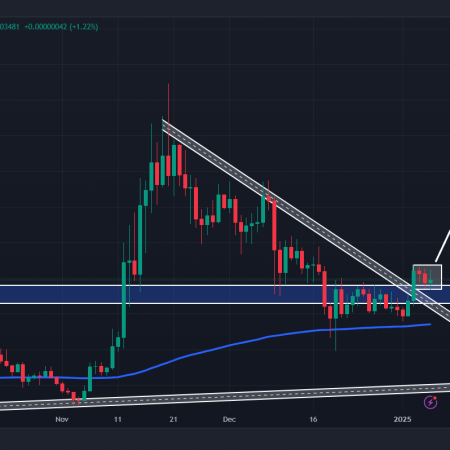 BONK challenges DOGE, SHIB, PEPE and watches the 45% rally