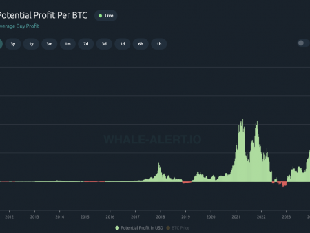 Bitcoin Investors Now Earn $67,000 on Average – And That’s Just the Beginning