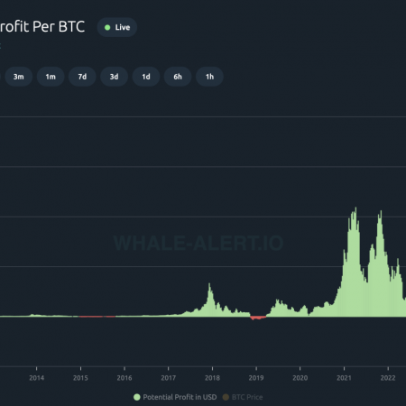 Bitcoin Investors Now Earn $67,000 on Average – And That’s Just the Beginning