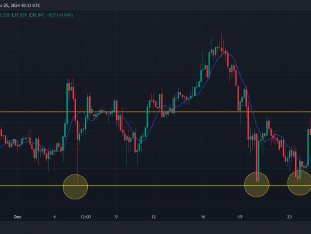 Bitcoin Price Approaches $100,000 – Is a Crash Around the corner?