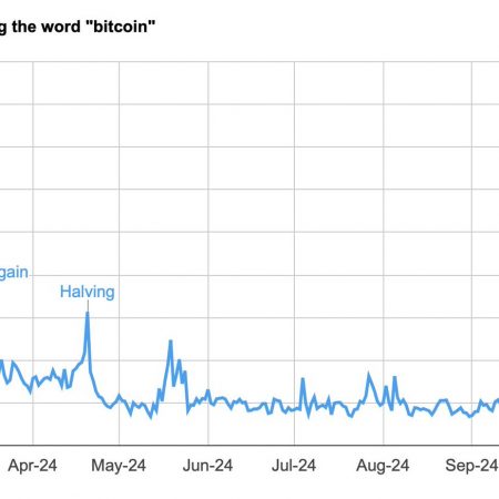 Bitcoin X’s Popularity Grows 65% YoY in 2024