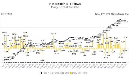 Bitcoin with a risk of supply shock, how to buy more BTC issues of ETF than was produced in December