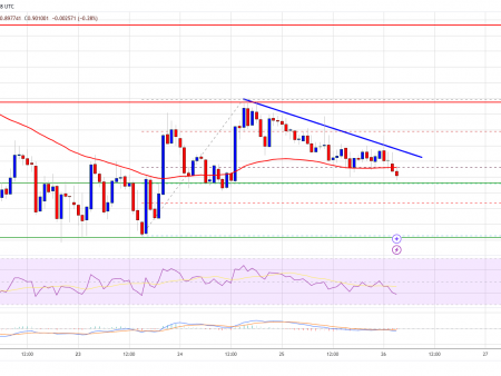 Cardano (ADA) Struggling to Hold Ground: Another Fall Coming?