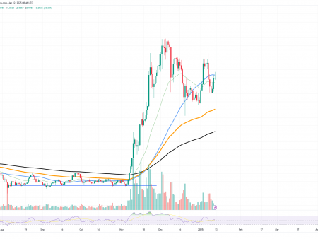 Cardano (ADA) surpass all top 10 coins when it is back to 1 dollar