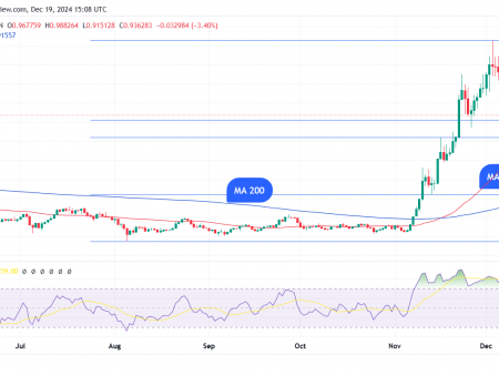 Cardano’s ADA fell below $1, but whales are still in the game