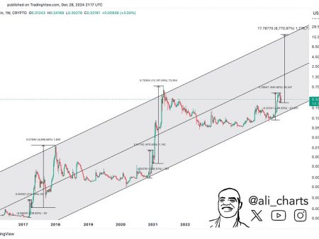 Dogecoin $18 Price Prediction: How Achievable Is This Goal?