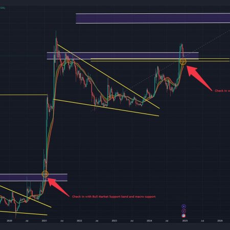 Dogecoin Balances Between ‘Price Discovery’ and ‘Disaster’: What’s Next?