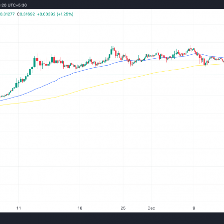 Dogecoin down 30% from yearly highs, risks falling below $0.20