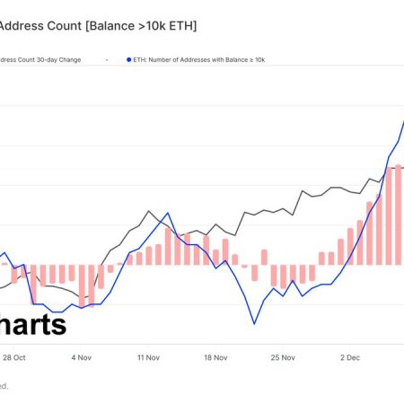 Download Ethereum “Whales”: Bullish Sign or Bearish Trap?