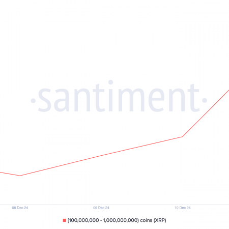 Large XRP investors stockpiled $1.29 billion worth of tokens amid market uncertainty