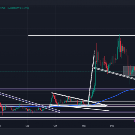 PEPE price forecast for December 28: is a rally inevitable?