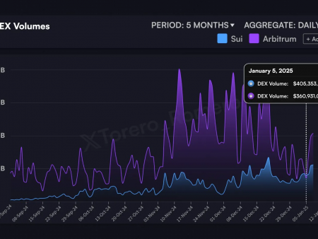 SUI turns the arbitration in the volume of DEX: what’s next at the price