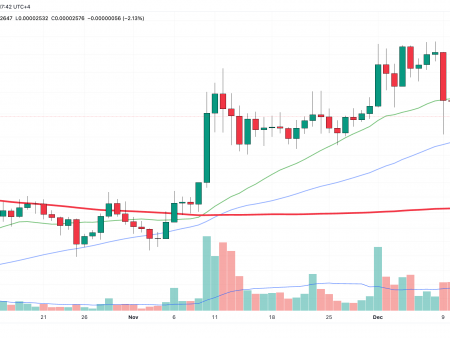 Shiba Inu (SHIB) on the verge of a bullish comeback: possible scenarios