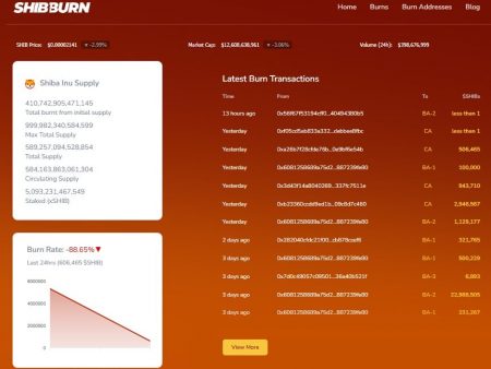 Shiba Inu calorie burn rate (SHIB) drops to lowest level in weeks