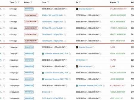 Solana Price risks $ 150, when whales come out of the fear of correction