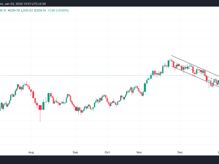 Solana (SOL)’s rise above $200 may continue despite sharp rise in exchange inflows