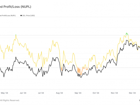 Solana’s rise above $200 reignites optimism in the market