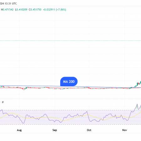 Stellar (XLM) suddenly rose by 12%: the reason