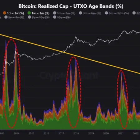 The analyst claims that Bitcoin enters the final stage of the bull rally, refers to the data