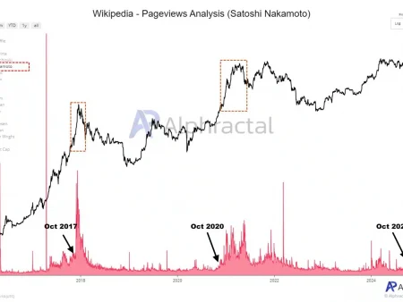 The intriguing connection between the price of bitcoins and the personality of Satoshi Nakamoto is revealed