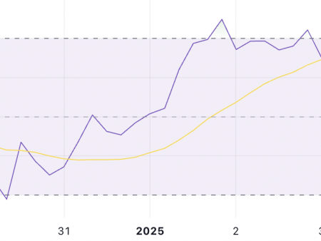 XRP consolidates after 14% of the surge, since the activity of the whale is stable