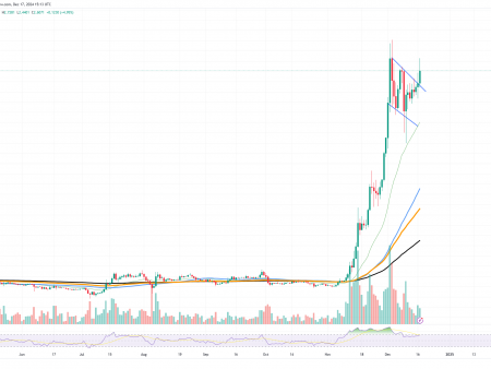 XRP returns for survival, Shiba Inu (SHIB) has no ground under its feet, Solana (SOL) downtrend becomes frightening