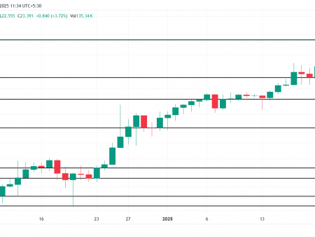 2 altcoin, which have reached record maxima today-24 January