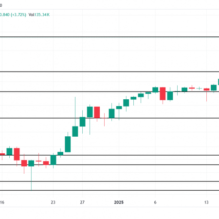 2 altcoin, which have reached record maxima today-24 January