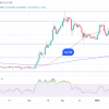 A large day of the cardan occurs, here is the price reaction of ADA