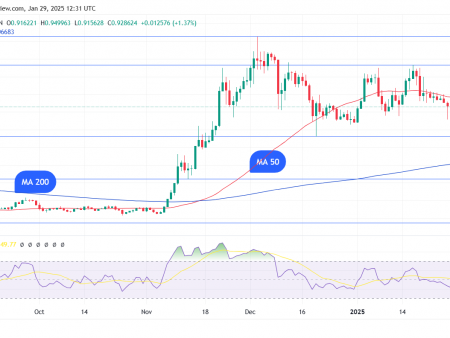 A large day of the cardan occurs, here is the price reaction of ADA