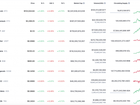 Binance (BNB) coin forecast for January 21