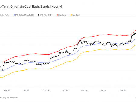 Bitcoin path to $ 100,000: a loss of the short -term signal owner.