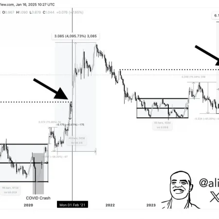 Cardano ADA Correction is completed, the following stop: $ 6?